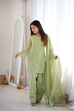 Rani's New Swarovski Work Salwar Suit Set